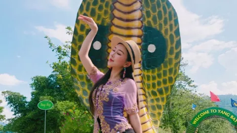 董事长明星女友