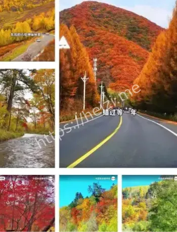 东北秋景天花板伊春五花山